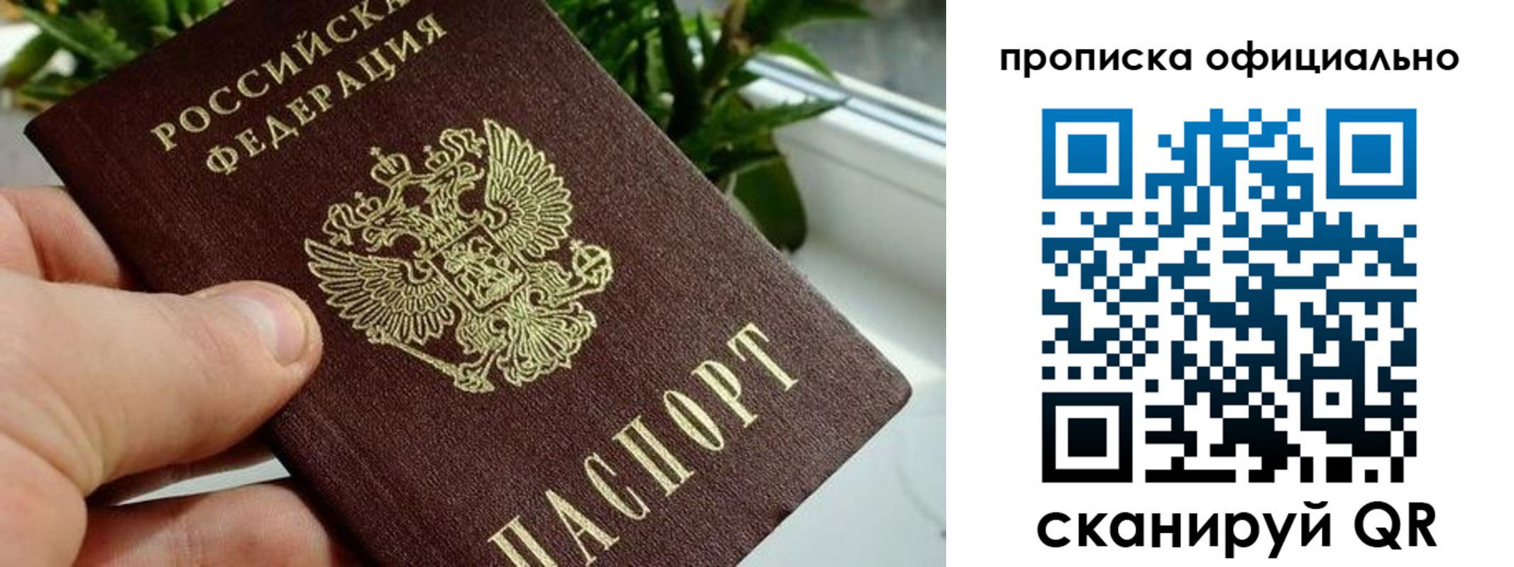 прописка поиск в Шелехове